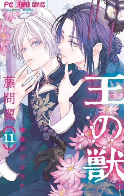 Cover of Vol. 11