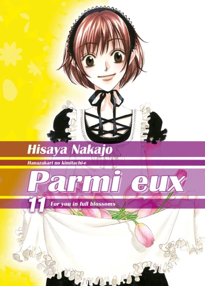 Cover of Tome 11