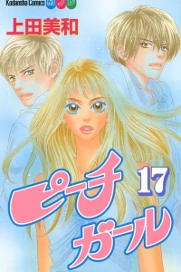 Vol. 17
