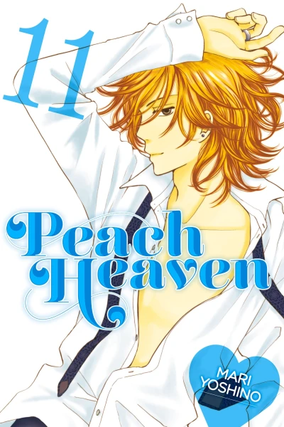 Cover of Vol. 11