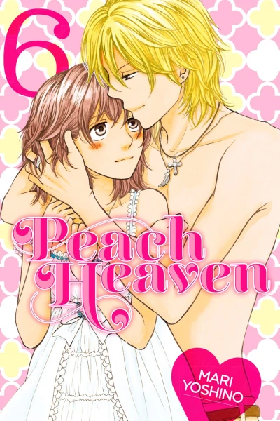 Cover of Vol. 6
