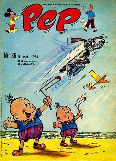 Cover of Issue #196436