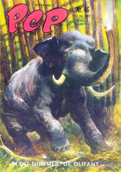 Cover of Issue #196546