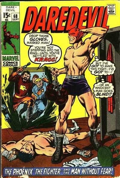 Cover of Phoenix And The Fighter!