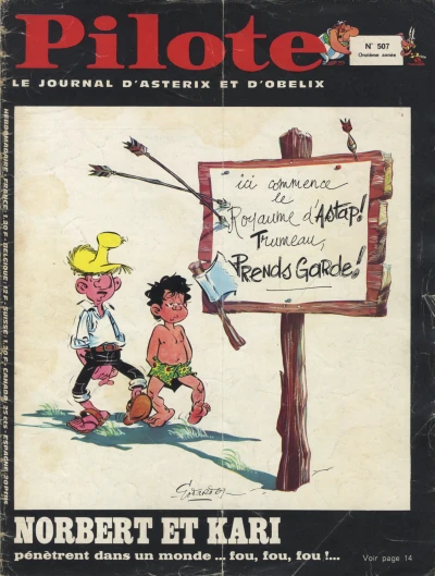 Cover of Volume #507