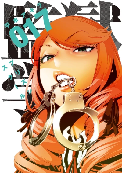 Cover of Vol. 17