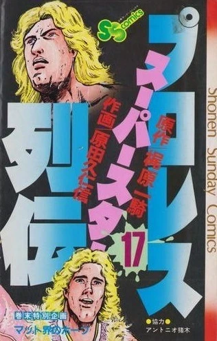 Cover of Vol. 17