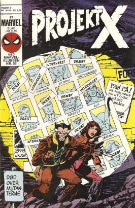 Cover of Issue #13