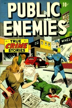 Public Enemies