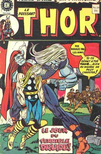 Cover of Le Jour du Terrible Druide!