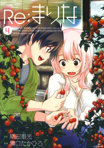 Cover of Volume 4