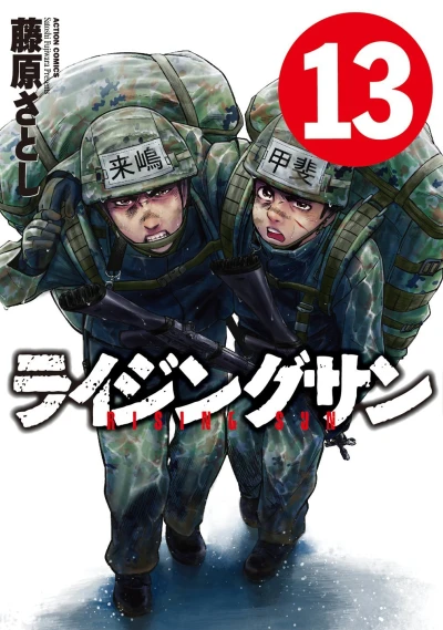 Cover of Vol. 13