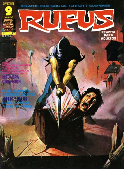 Cover of Issue #27