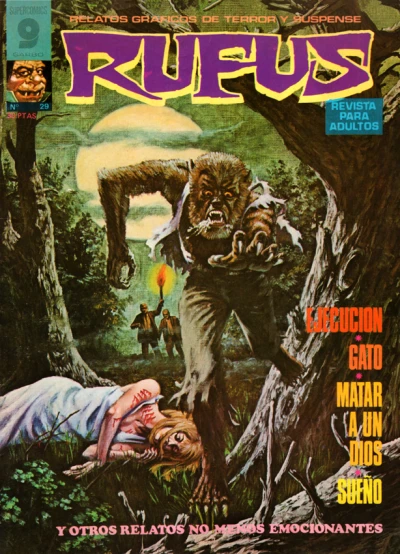 Cover of Issue #29