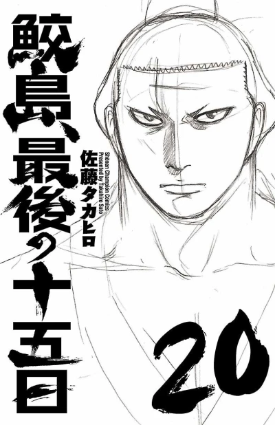 Cover of Vol. 20