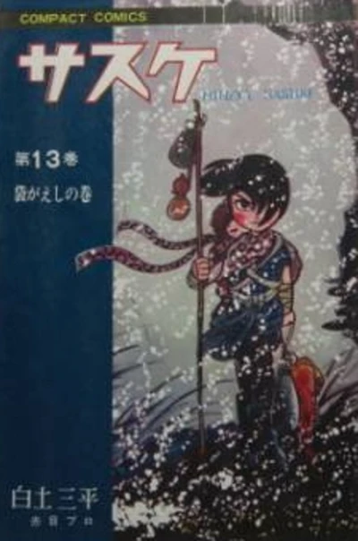 Cover of Vol. 13