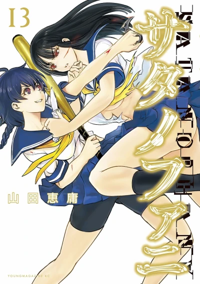 Cover of Vol. 13