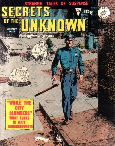 Cover of While the City Slumbers