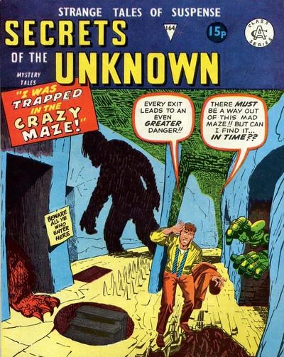 Cover of I Was Trapped in the Crazy Maze!