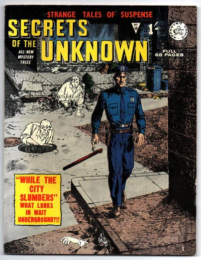 Cover of While the City Slumbers