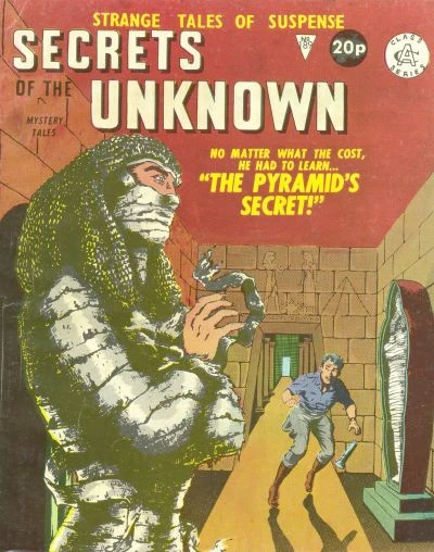 Cover of The Pyramid's Secret!