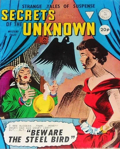 Cover of Beware the Steel Bird