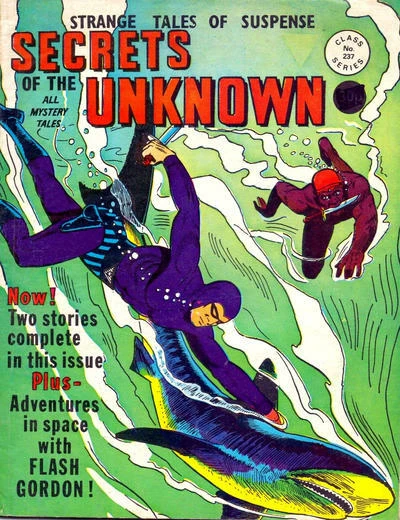 Cover of Issue #237