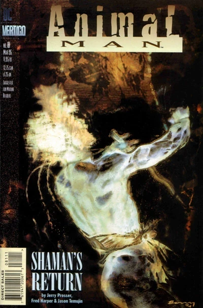 Cover of Shaman's Return