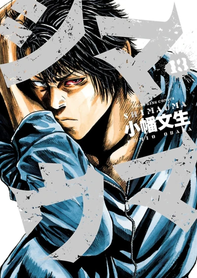 Cover of Vol. 13