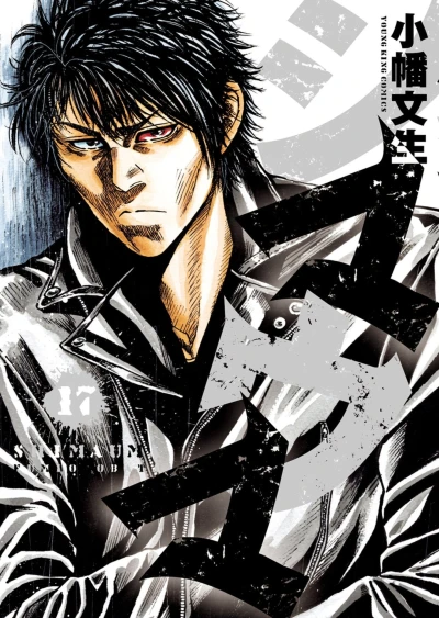 Cover of Vol. 17