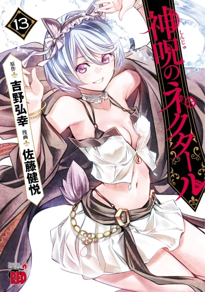 Cover of Vol. 13