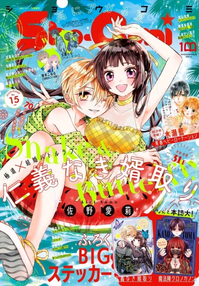 Cover of No. 15, 2022