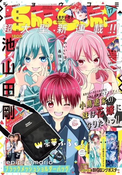 Cover of No. 17, 2023