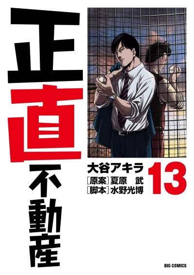 Cover of Volume 13