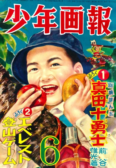 Cover of Issue #195406