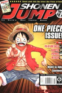 One Piece Issue!