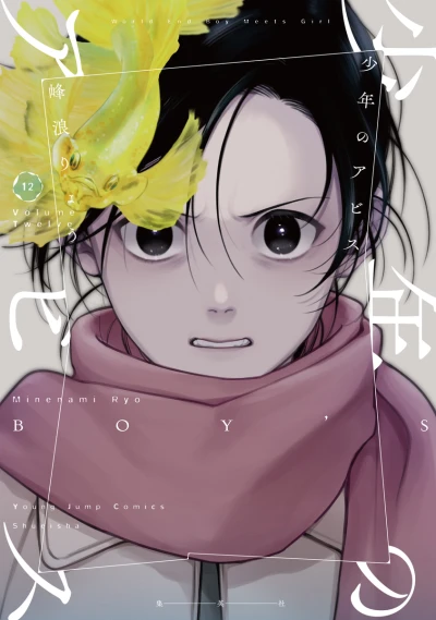 Cover of Volume Twelve