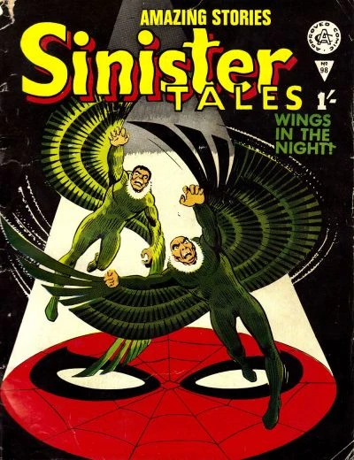 Cover of Wings in the Night!