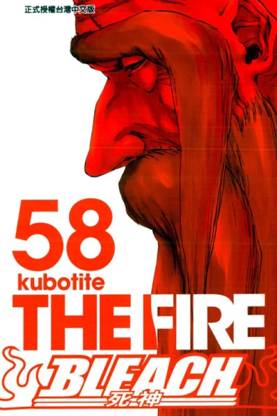 Cover of The Fire