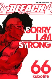 Sorry I Am Strong