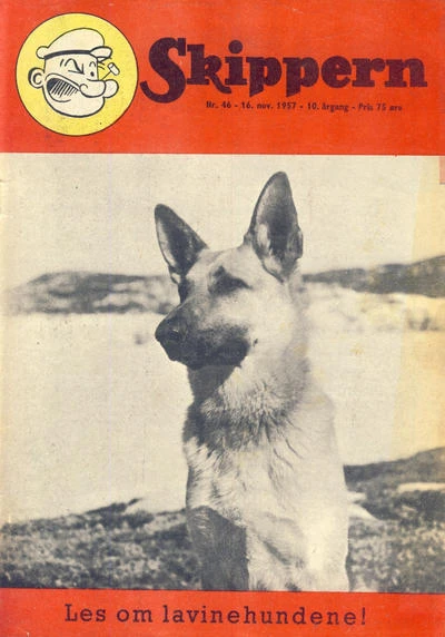 Cover of Issue #195746