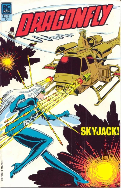Cover of Skyjack