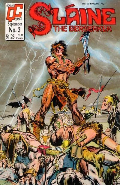 Cover of slaine 3