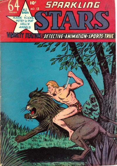 Cover of Issue #13