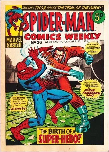 Cover of The Birth of a Super-Hero?