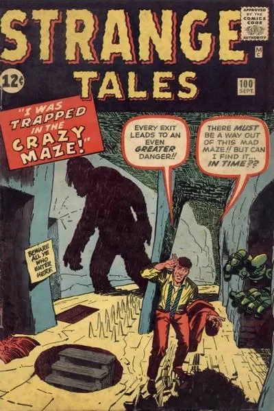 Cover of The Man In The Crazy Maze