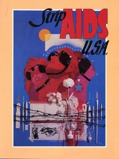 Cover of Strip Aids USA