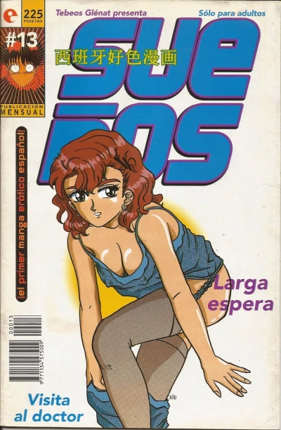 Cover of Issue #13