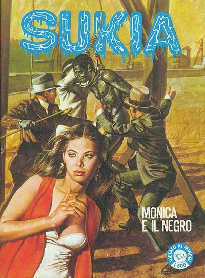 Cover of Monica e il Negro