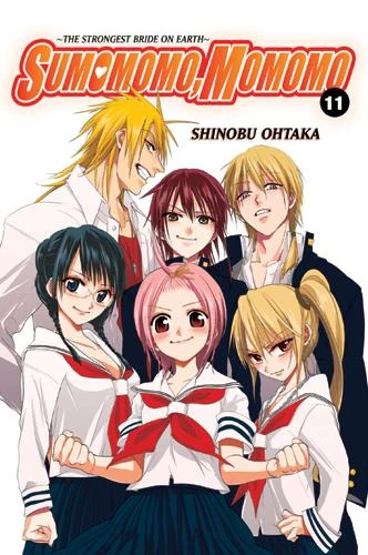 Cover of Vol. 11